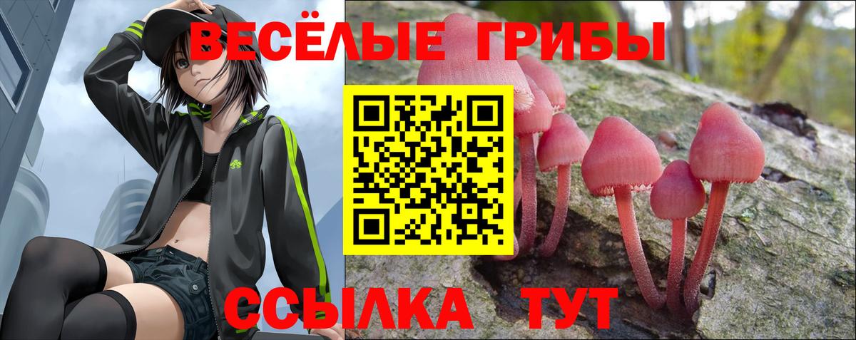 Орёл  Псилоцибиновые грибы Magic Shrooms  Вход с VPN 