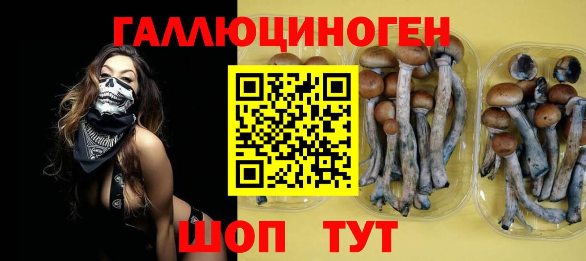 Галлюциногенные грибы MAGIC MUSHROOMS Орёл