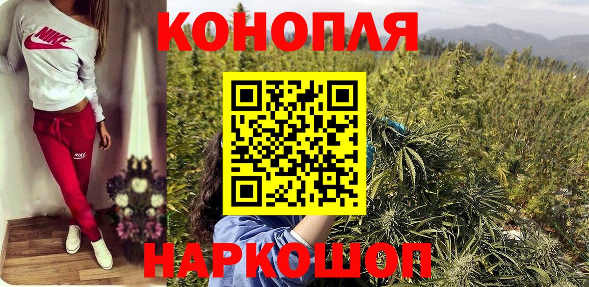 Марихуана планчик Орёл